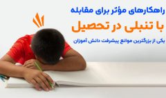 بنر تنبلی